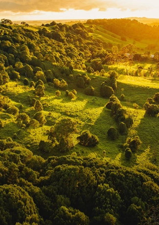 Live Northern Rivers image