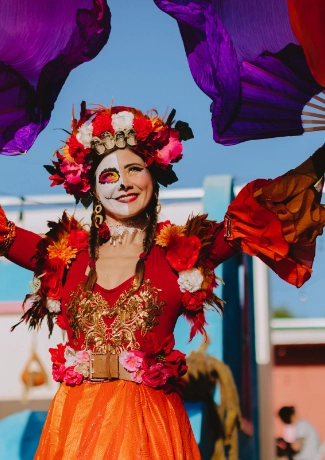 Sun Country Connect image